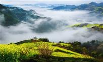 春山雾