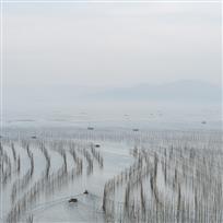 海上迷宫