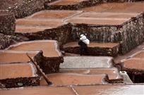 澜沧江畔晒盐人