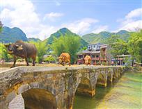 广西靖西市鹅泉村