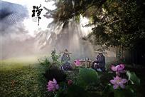 问茶