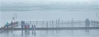 烟雨洪湖梦