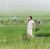 佳期如梦