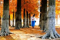 《走进秋天里》