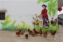喂鸡