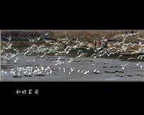 和谐家园