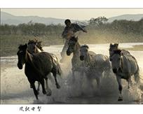 风驰电掣