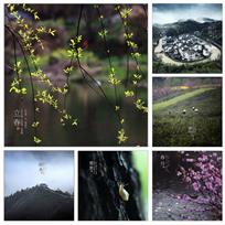 中华二十四节气歌