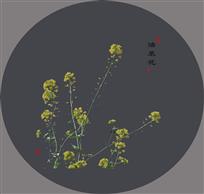 油菜花