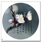 知花蕊