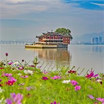 花海古寺