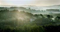 雾漫小山村