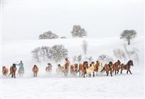 驰骋风雪间