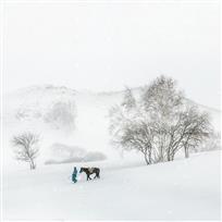 风雪行