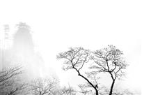 相守