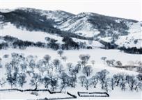 水墨雪乡