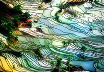 水润彩田