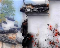 黛瓦粉墙
