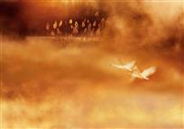 寒滩水浅晨烟寒