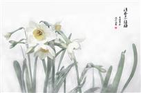 《清香不让梅》