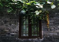 《家的记忆》