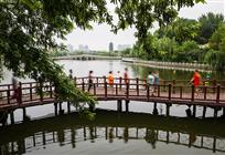 《人在画中行》