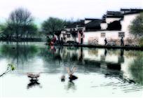 宏村风光