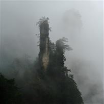 雾中山影