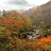 山间秋意浓