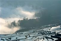 山寨晨雾