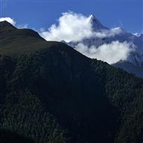 《仙乃日雄姿》