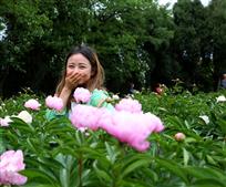 见说君家红芍药  尽把春愁忘却