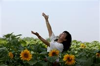 葵花朵朵