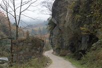 山路弯弯