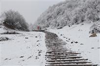 雪景拾零