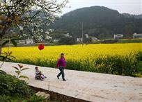 自驾游