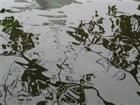 《水韵诗画》（组照）