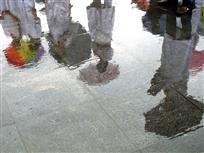 雨中