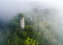 仙境秘踪
