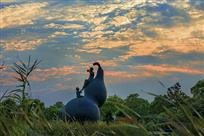 夕照葫芦美如画