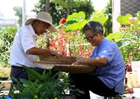 生态家园幸福老人