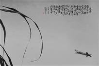 独钓