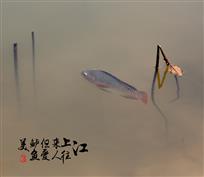 鲈鱼美