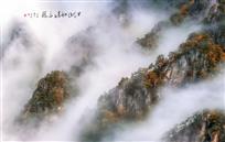 江山多娇