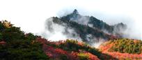雾恋群山秋恋峦