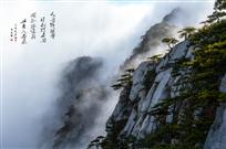 如诗如画