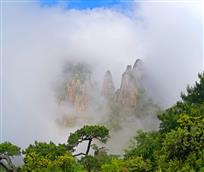 群仙会