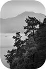 山水清韵