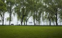 西湖早春