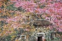 《梦回古徽州》